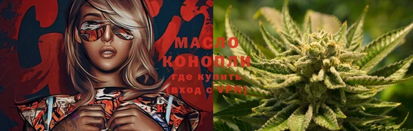 метадон Елизово